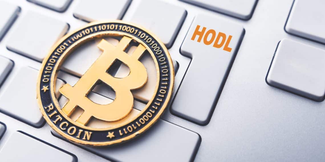 لیکوئید شدن Liquidation و HODL چیست (2023) HODL