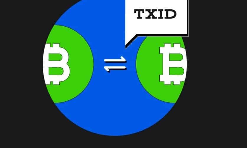 آشنایی با مفهوم TXID 🔎 یافتن TXID در 3 بلاکچین ویژگی های TXID