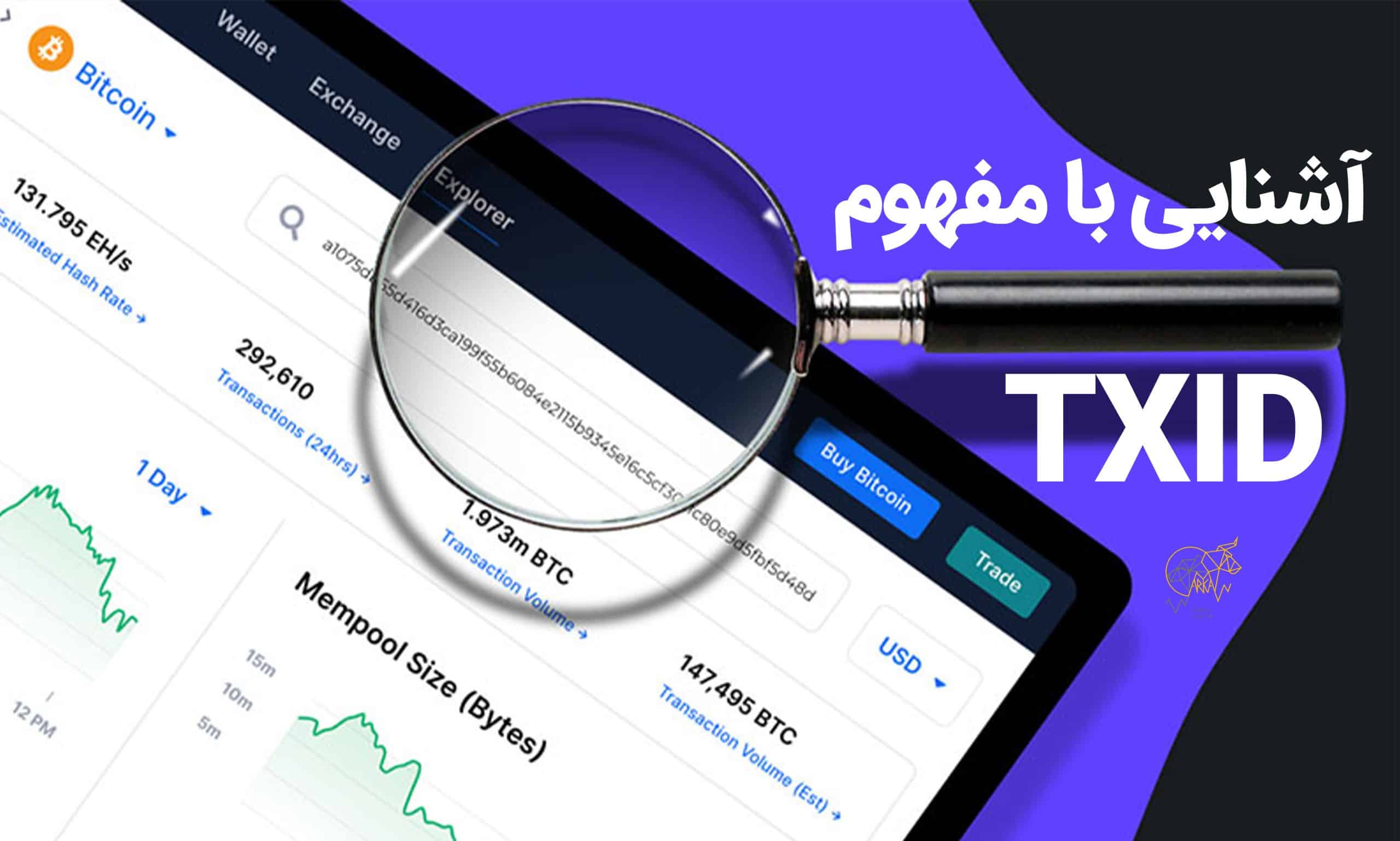 آشنایی با مفهوم TXID 🔎 یافتن TXID در 3 ‌بلاکچین