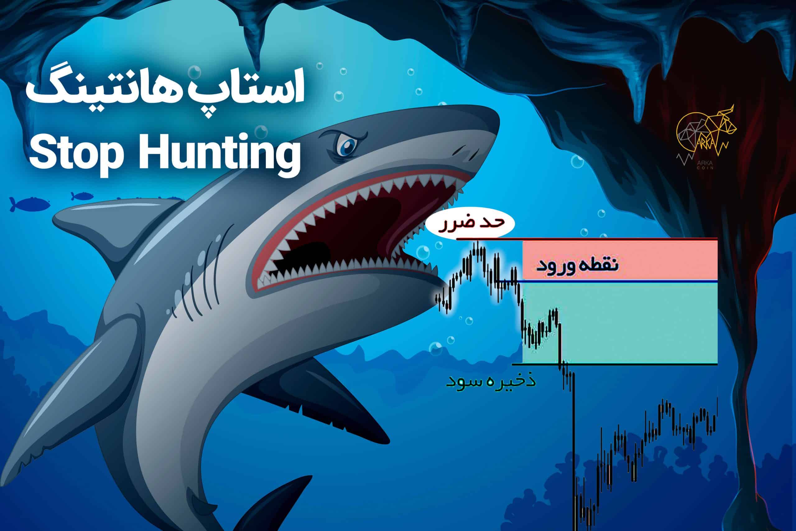استاپ هانتینگ Stop Hunting چیست و چگونه اتفاق میفتد؟(2023)