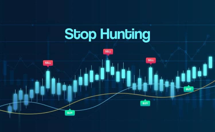 استاپ هانتینگ Stop Hunting چیست و چگونه اتفاق میفتد؟(2023) استاپ هانت