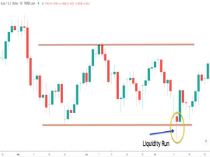استاپ هانتینگ Stop Hunting چیست و چگونه اتفاق میفتد؟(2023) استاپ هانتینگ