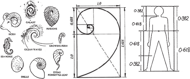 آموزش اندیکاتور فیبوناچی در ارز دیجیتال! نکات ترسیم Fibonacci فیبوناچی در ارز دیجیتال