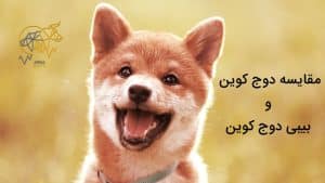 مقایسه دوج کوین و بیبی دوج 🦊 4 تفاوت دوج کوین و بیبی دوج کوین