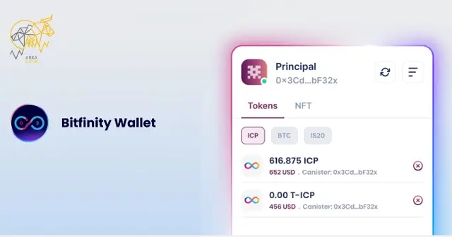 ارز ICP چیست؟ آیا ارز Internet Computer ارزی آینده دار است؟ بهترین نوع کیف پول ارز ICP