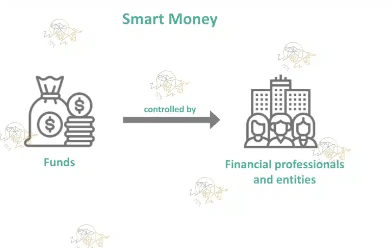 اسمارت مانی یا پول هوشمند چیست؟ اسمارت مانی یا پول هوشمند