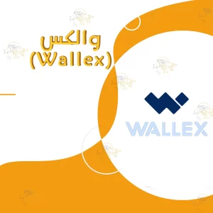 صرافی ارز دیجیتال والکس (Wallex)