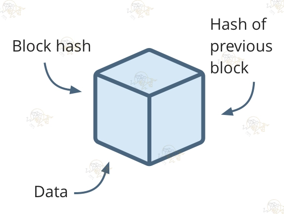 هش بلوک (block hash)