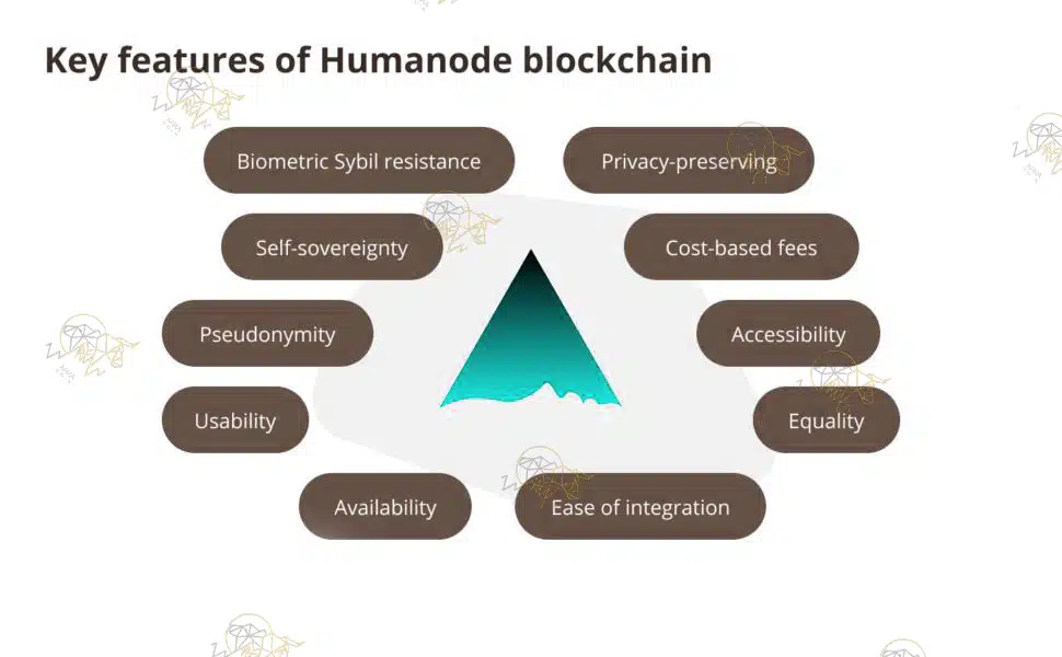 بلاکچین Humanode چیست و چگونه کار می کند؟ ویژگیهای کلیدی بلاکچین Humanode