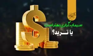 سرمایه گذاری بهتر است یا ترید؟
