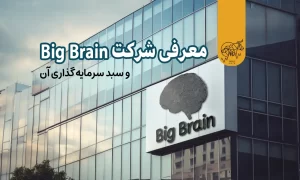 معرفی شرکت بیگ برین (Big Brain)
