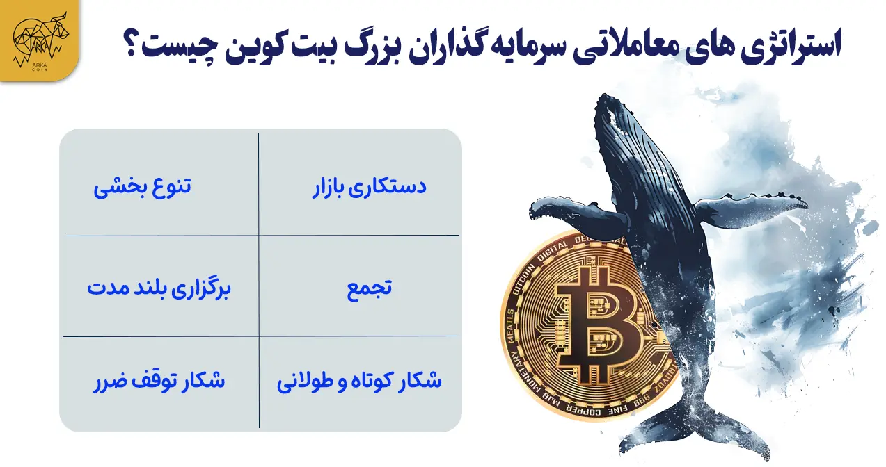 چگونه نهنگ کریپتو از هویت خود محافظت می کنند؟ استراتژی های معاملاتی مورد استفاده سرمایه گذاران بزرگ بیت کوین چیست؟