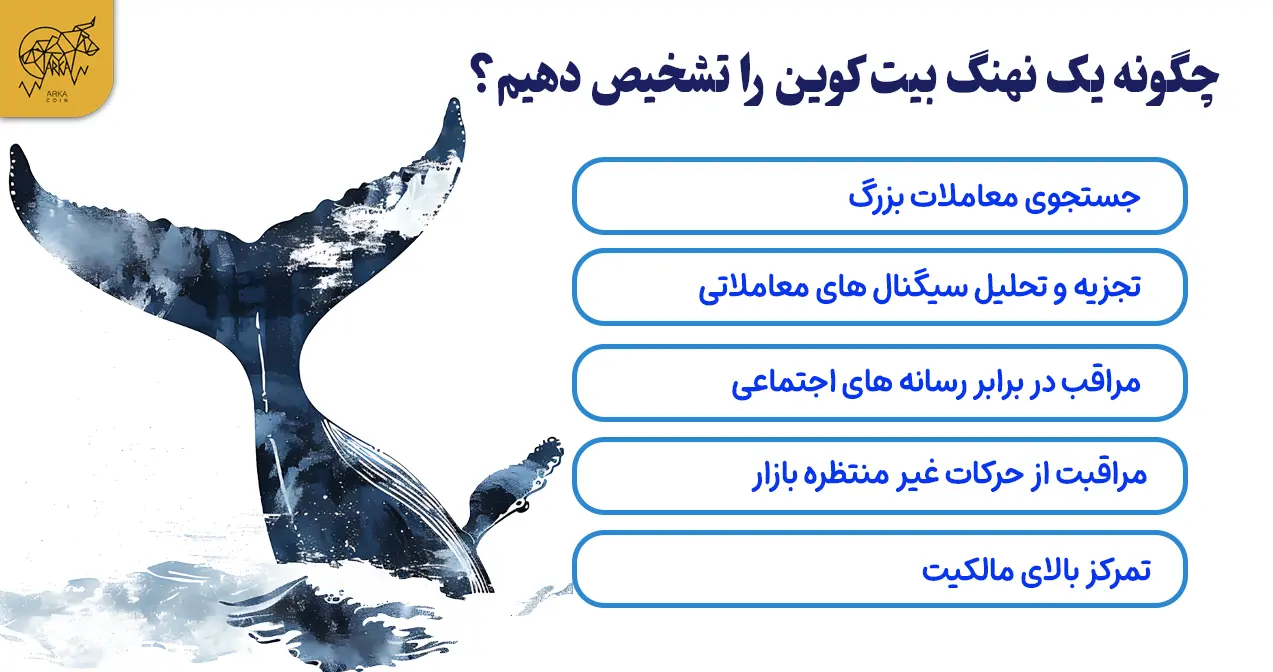 چگونه نهنگ کریپتو از هویت خود محافظت می کنند؟ چگونه یک نهنگ بیت کوین را تشخیص دهیم؟