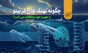 چگونه نهنگ کریپتو از هویت خود محافظت می کنند؟