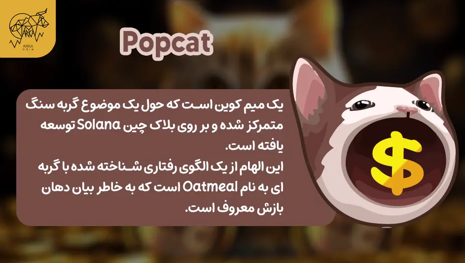 برترین میم کوین های با تم گربه در سال 2024 Popcat