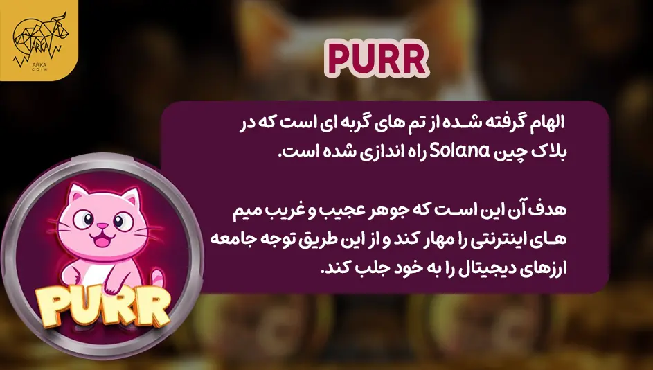 برترین میم کوین های با تم گربه در سال 2024 3. Purr (PURR)