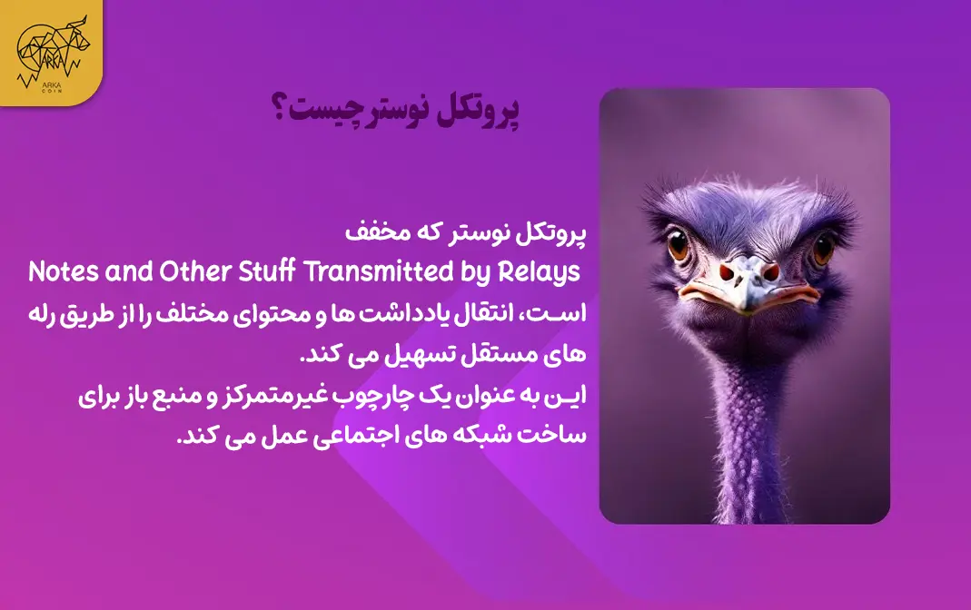 پروتکل نوستر چیست؟ پروتکل نوستر چیست؟