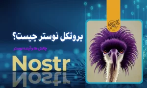 پروتکل نوستر چیست؟