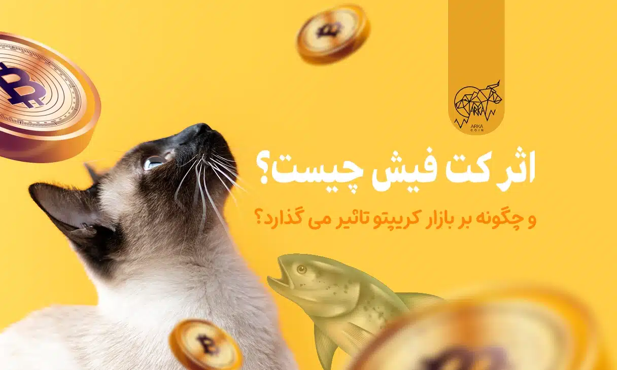 اثر کت فیش چیست و چگونه بر بازار کریپتو تاثیر می گذارد؟