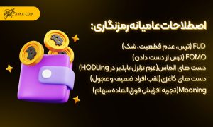 استراتژی خرید و نگهداری ارز دیجیتال چیست؟ سایر اصطلاحات عامیانه رمزنگاری