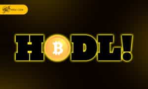 استراتژی خرید و نگهداری ارز دیجیتال چیست؟ سکه HODL