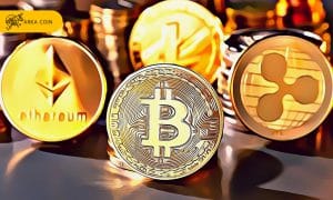 بررسی نکات کلیدی برای سرمایه گذاری در ارز دیجیتال ETF های بیت کوین