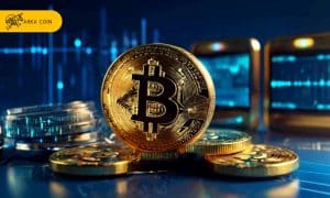 چگونه می توان در سرمایه گذاری در ارز دیجیتال ۲۰۲۴ شرکت کرد؟ نوسانات در بازار ارز های دیجیتال