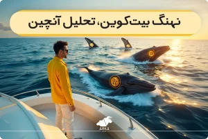 بررسی رفتار نهنگ ها و تأثیر آن بر بازار