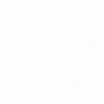 سبد گردانی ارز دیجیتال آرکاکوین با بازدهی عالی و تضمینی مشهد